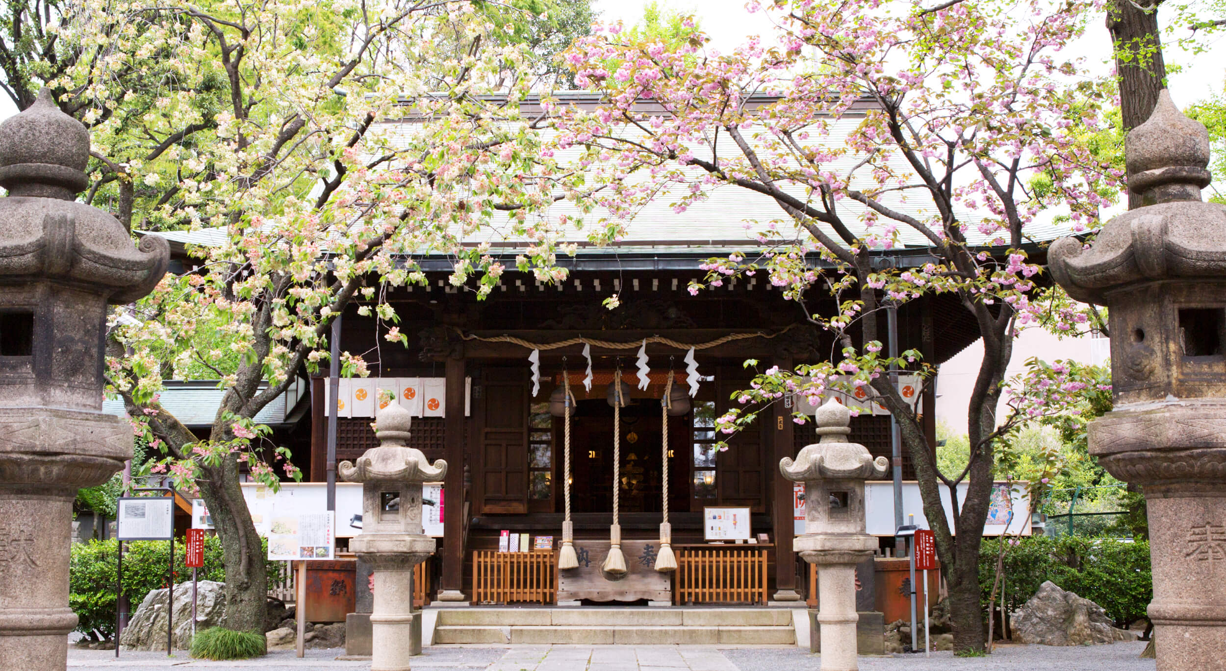 東京都北区で安産・厄除・お宮参りの祈願・お参りをするなら七社神社へ